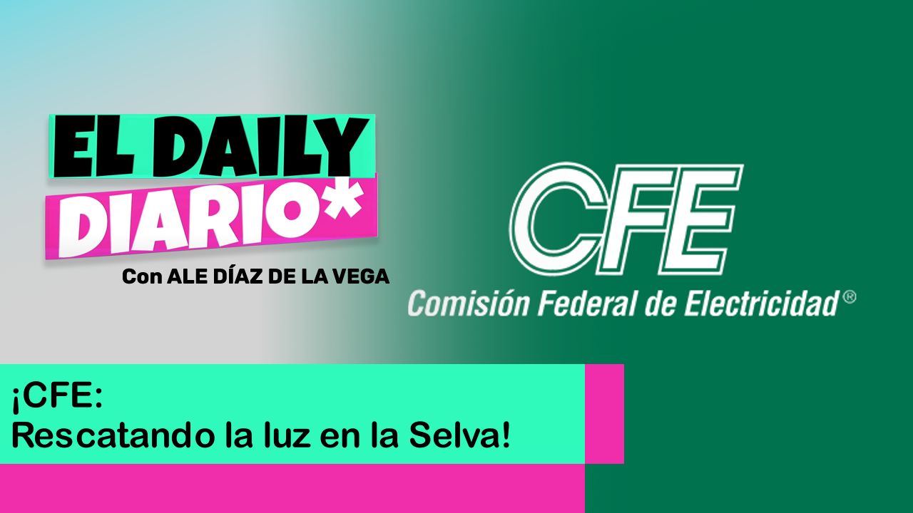 Lee más sobre el artículo ¡CFE: Rescatando la luz en la selva!