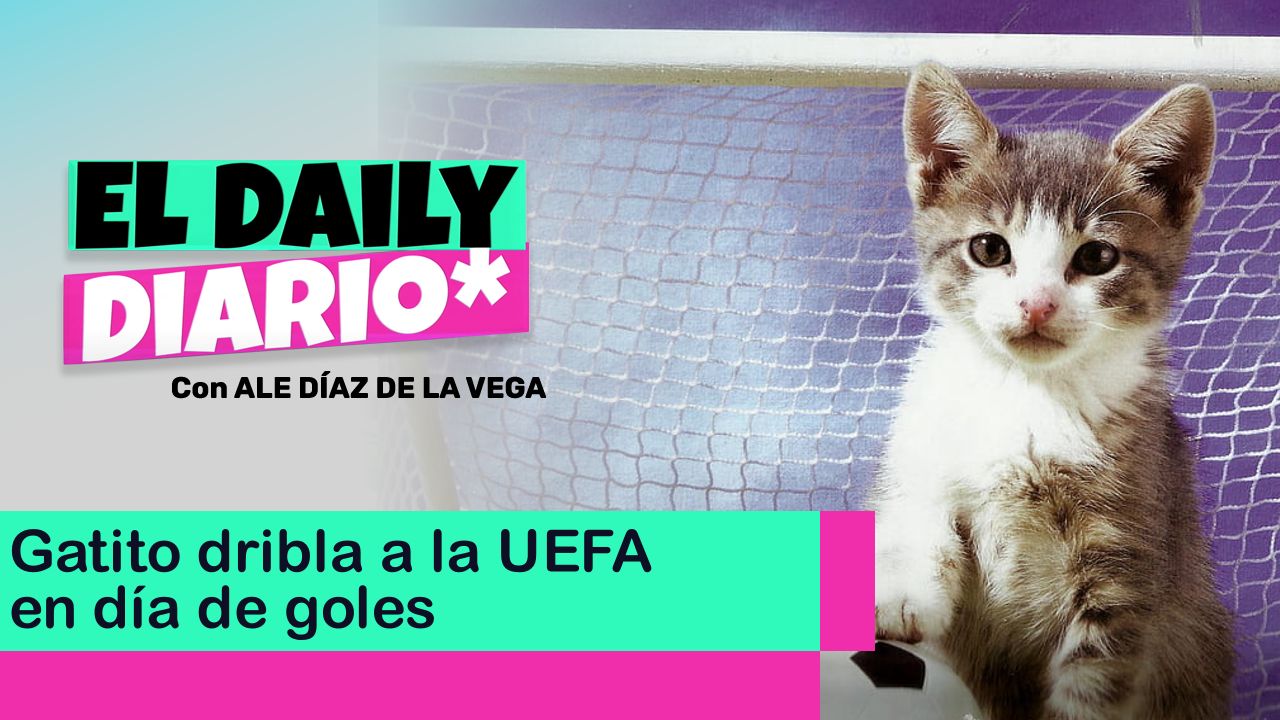 Lee más sobre el artículo Gatito dribla a la UEFA en día de goles