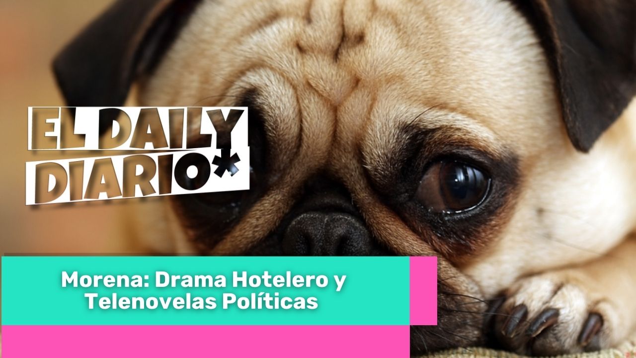 Lee más sobre el artículo Morena: Drama Hotelero y Telenovelas Políticas