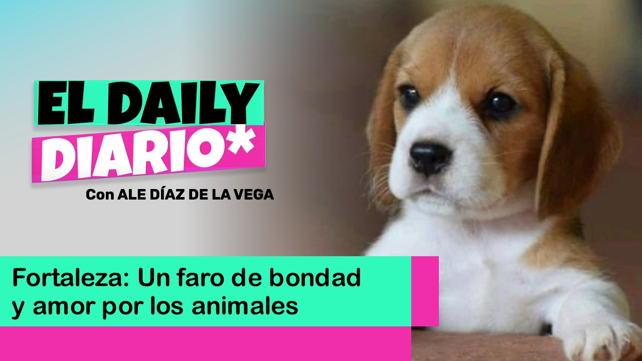 Lee más sobre el artículo Fortaleza: Un faro de bondad y amor por los animales