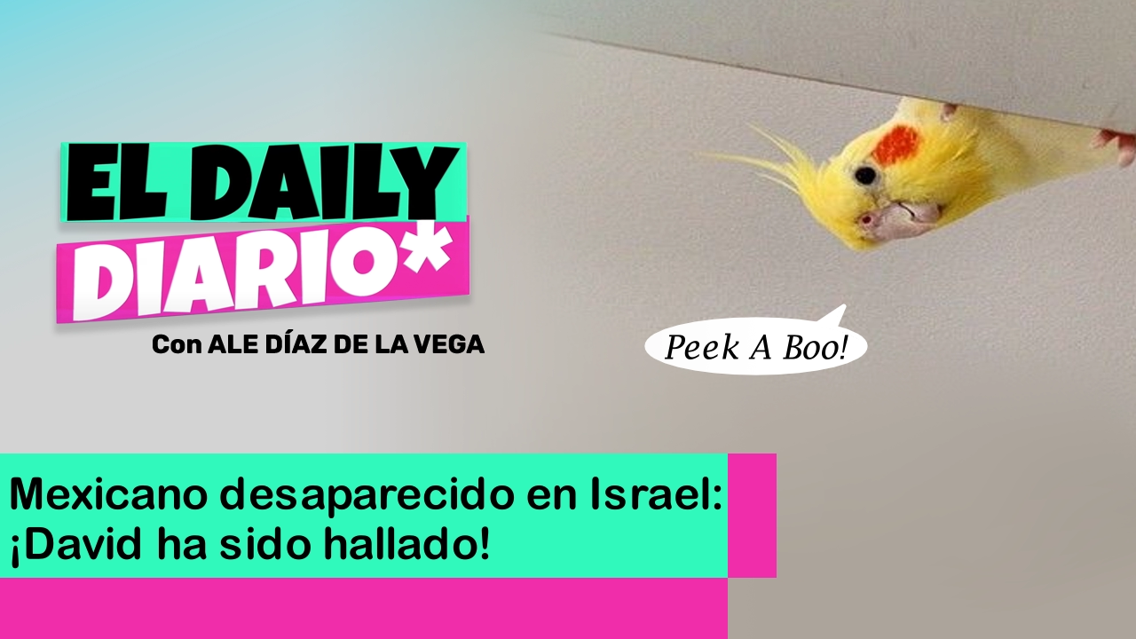 Lee más sobre el artículo Mexicano desaparecido en Israel: ¡David ha sido hallado!