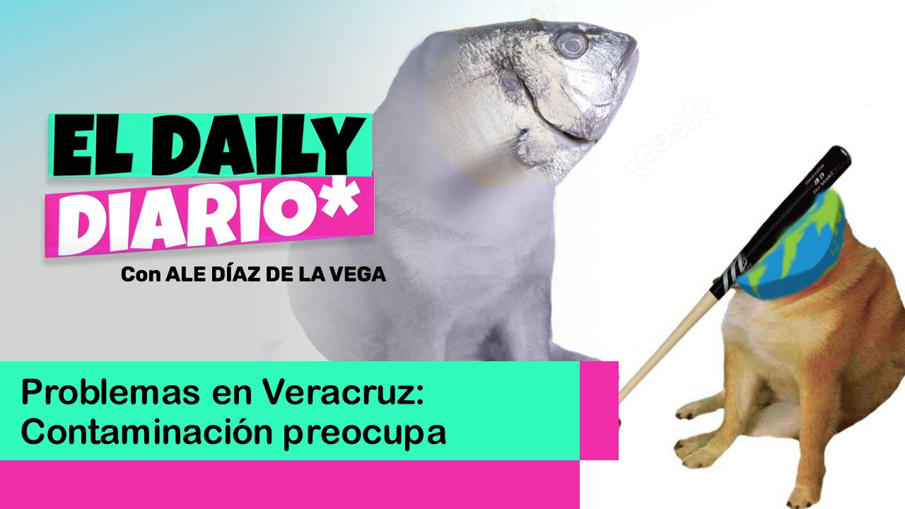 Lee más sobre el artículo Problemas en Veracruz: Contaminación preocupa