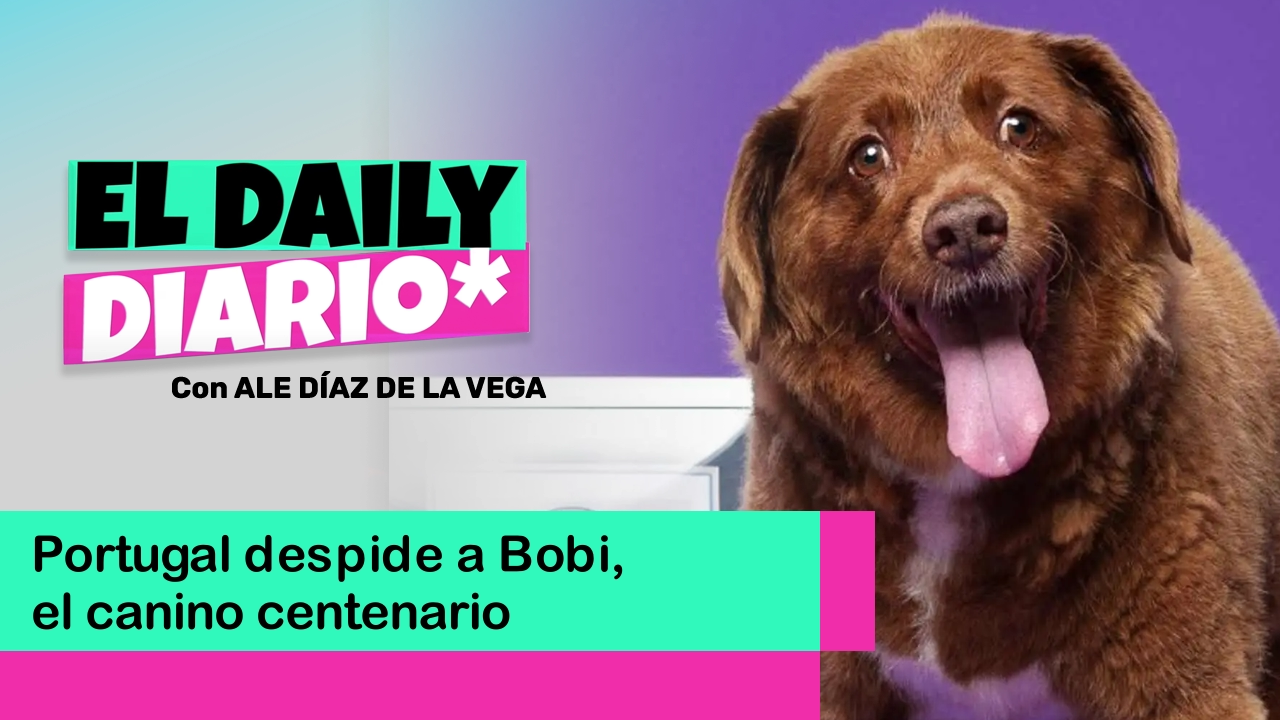 Lee más sobre el artículo Portugal despide a Bobi, el canino centenario