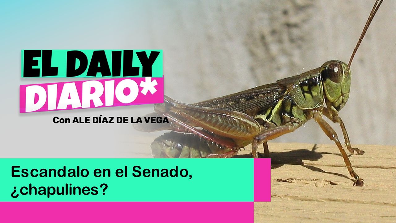 Lee más sobre el artículo Escandalo en el Senado, ¿chapulines?