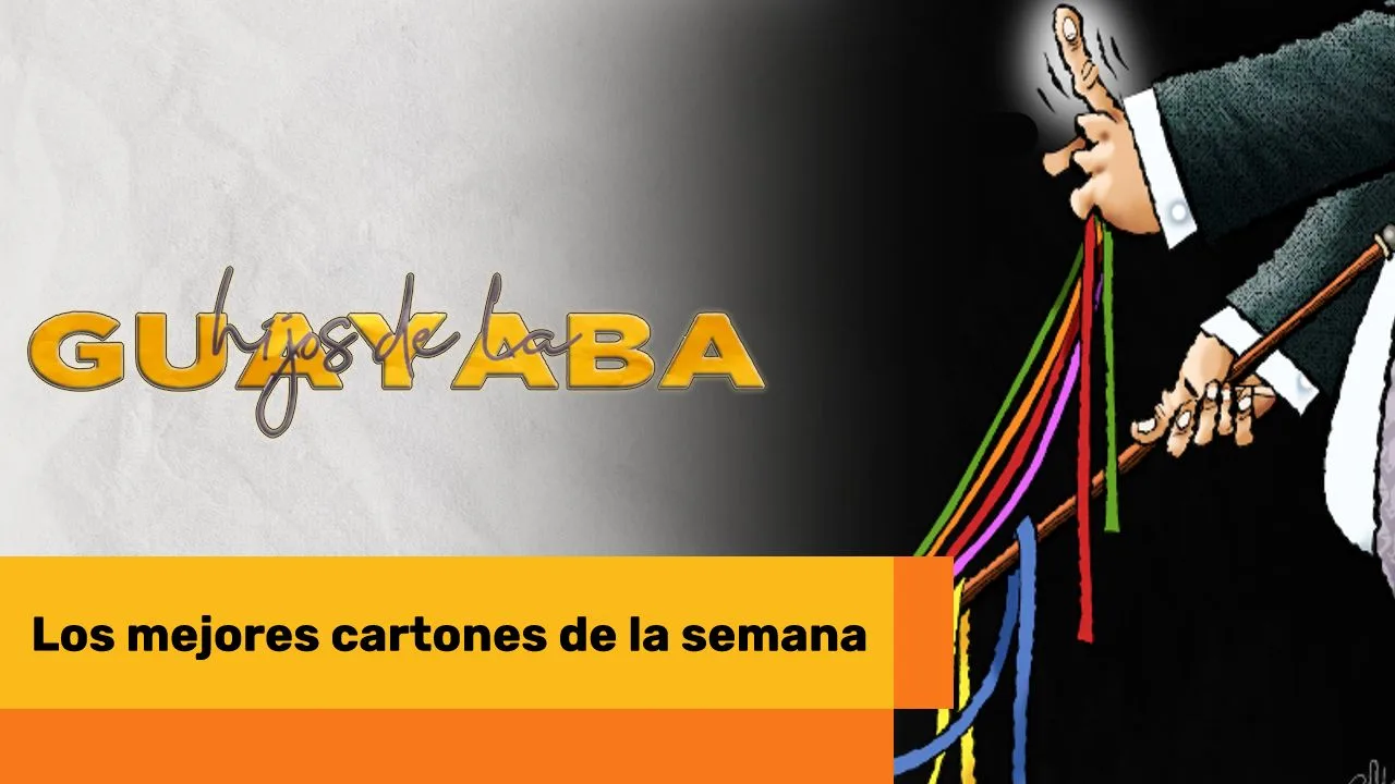 Lee más sobre el artículo Los mejores cartones de enero 18 de 2024