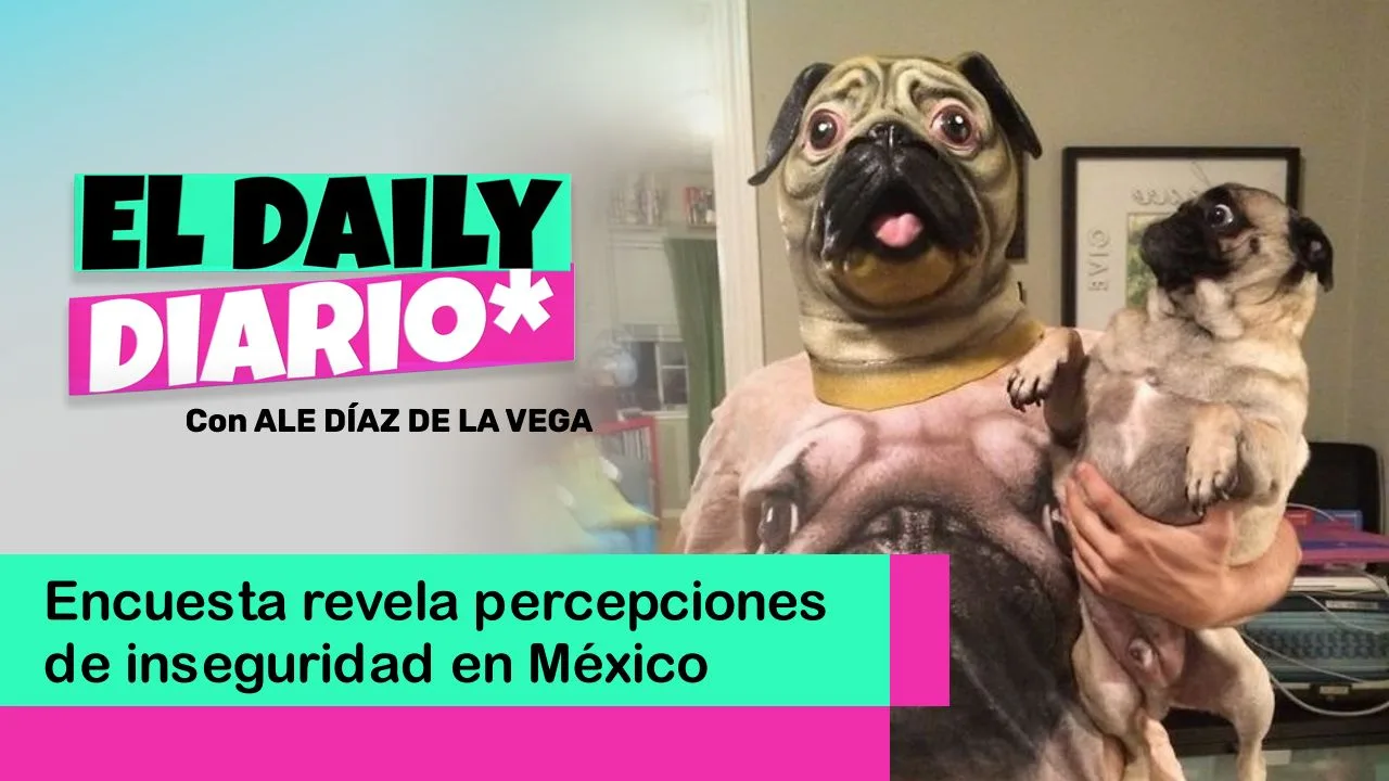 Lee más sobre el artículo Encuesta revela percepciones de inseguridad en México