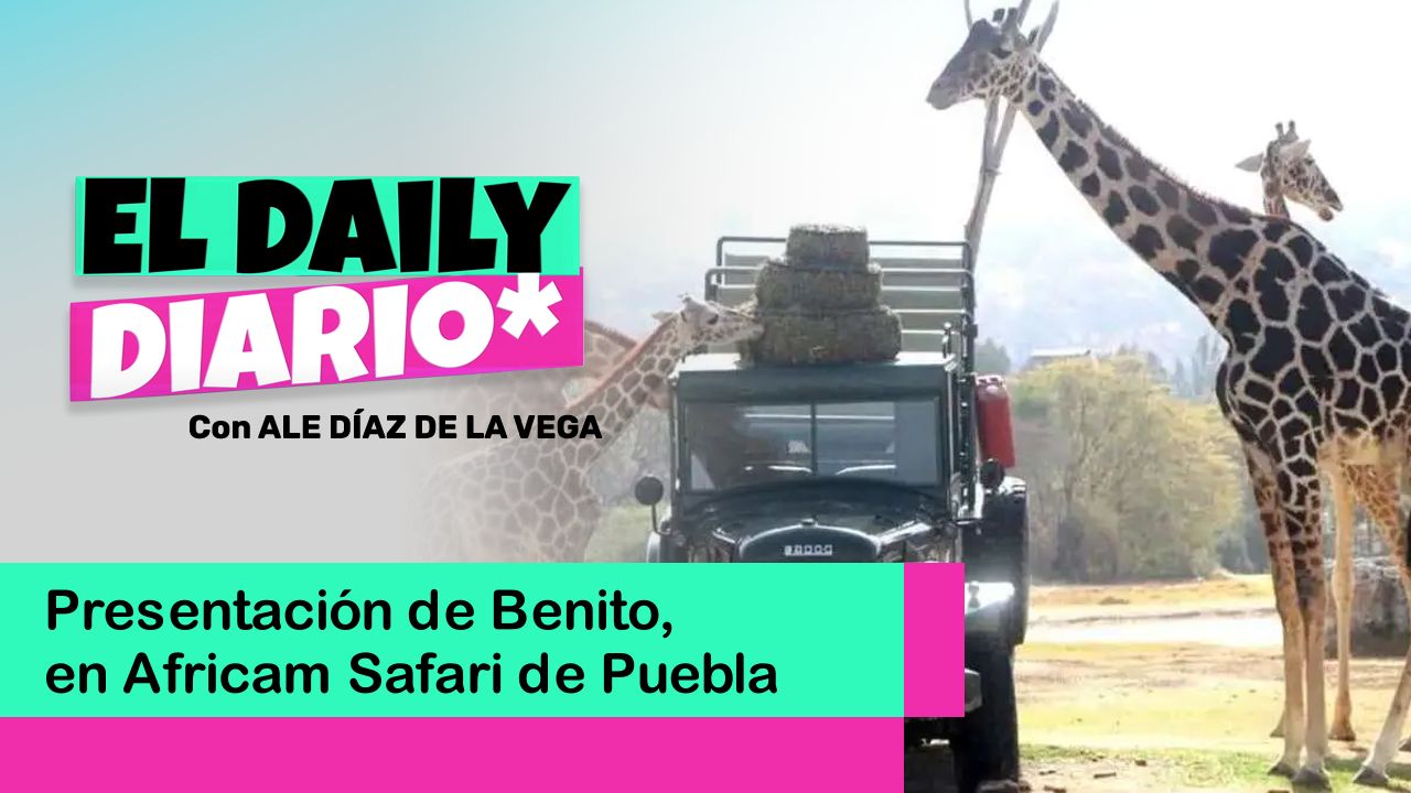 Lee más sobre el artículo Presentación de Benito, en Africam Safari de Puebla