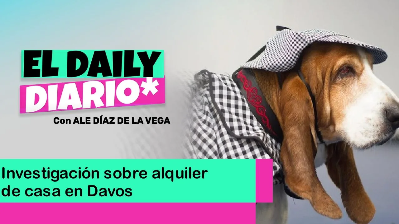 Lee más sobre el artículo Investigación sobre alquiler de casa en Davos