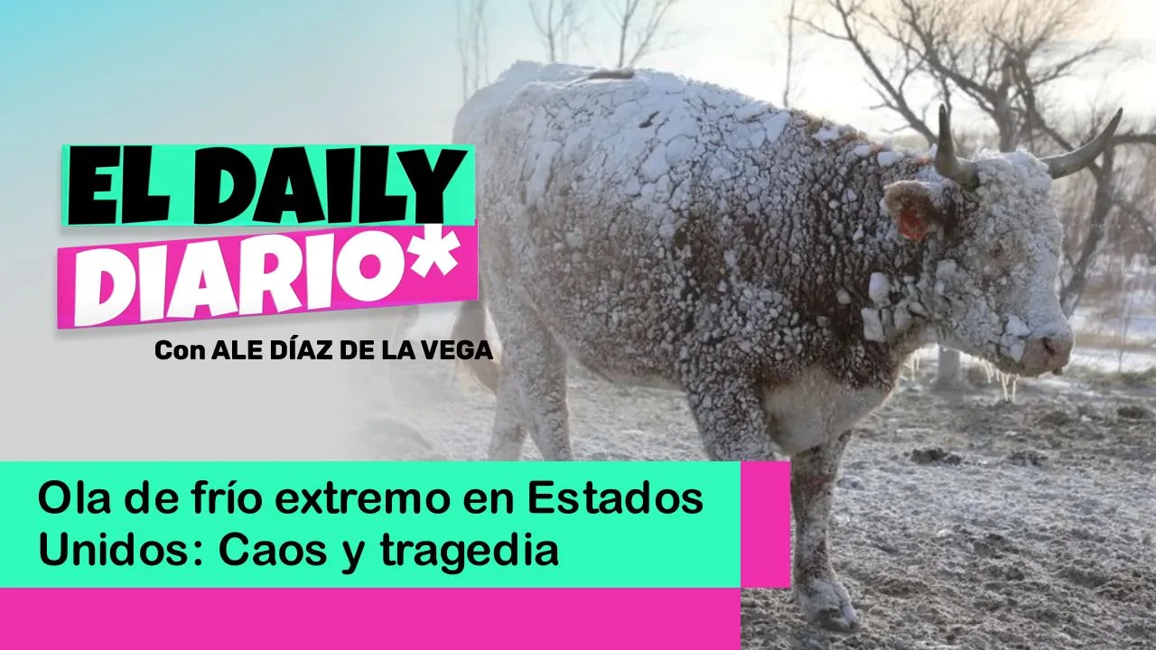 Lee más sobre el artículo Ola de frío extremo en Estados Unidos: Caos y tragedia