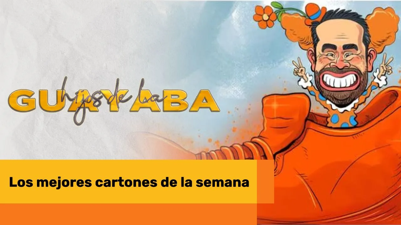 Lee más sobre el artículo Los mejores cartones de enero 11 de 2024