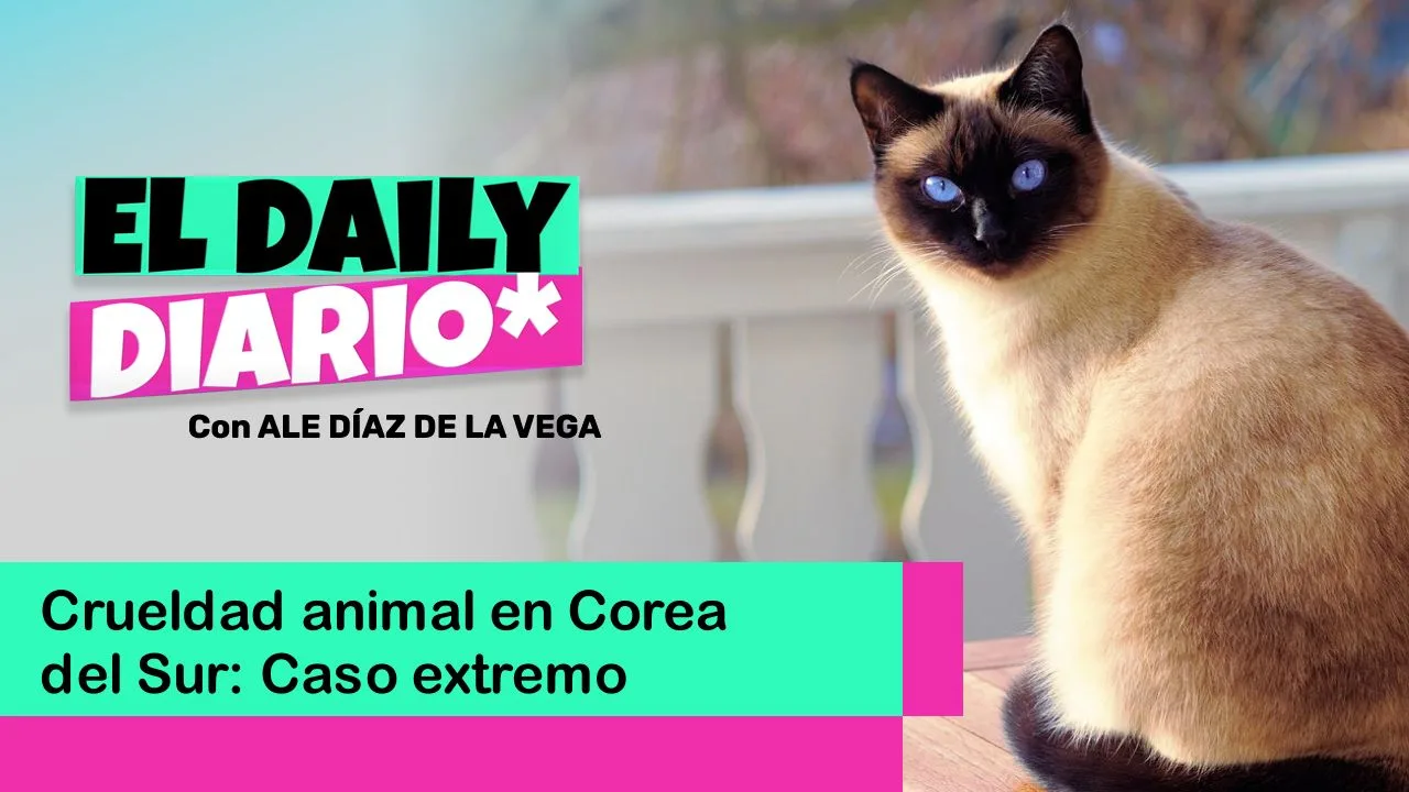 Lee más sobre el artículo Crueldad animal en Corea del Sur: Caso extremo