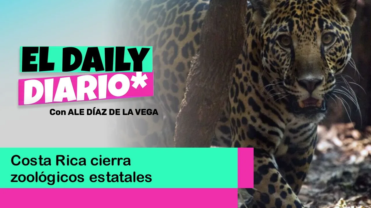 Lee más sobre el artículo Costa Rica cierra zoológicos estatales