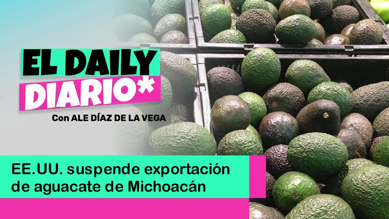 Lee más sobre el artículo EE.UU. suspende exportación de aguacate de Michoacán