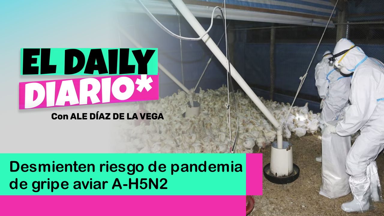 Lee más sobre el artículo Desmienten riesgo de pandemia de gripe aviar A-H5N2