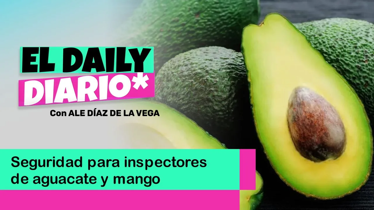 Lee más sobre el artículo Seguridad para inspectores de aguacate y mango