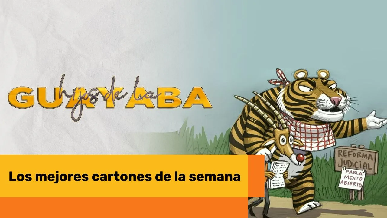 Lee más sobre el artículo Los mejores cartones de julio 04 de 2024