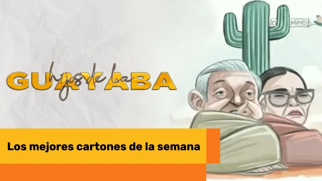 Lee más sobre el artículo Los mejores cartones de agosto  de 2024