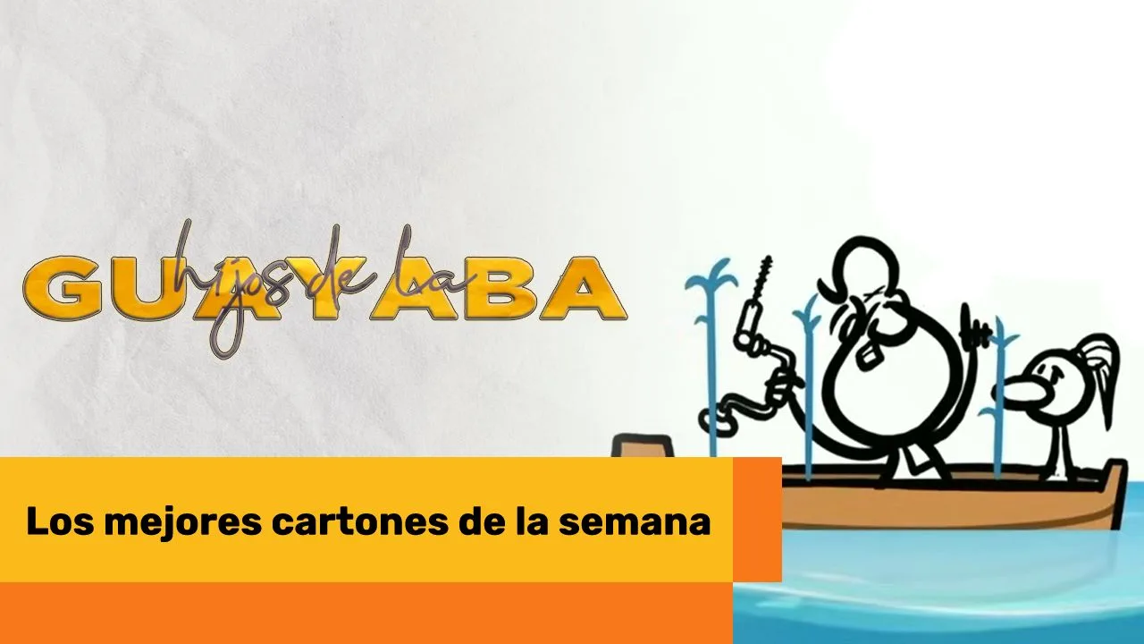 Lee más sobre el artículo Los mejores cartones de agosto 29 de 2024
