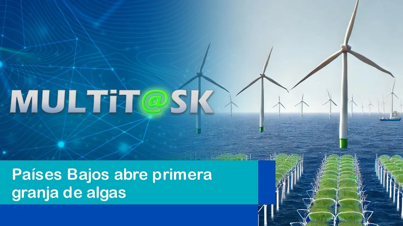 Lee más sobre el artículo Países Bajos abre primera granja de algas