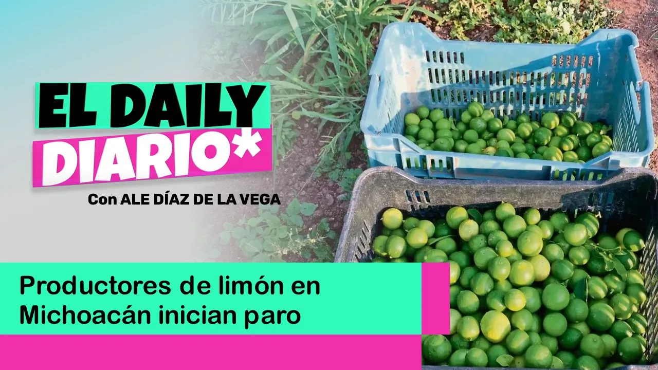 Lee más sobre el artículo Productores de limón en Michoacán inician paro