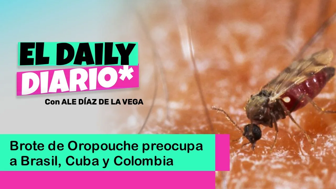 Lee más sobre el artículo Brote de Oropouche preocupa a Brasil, Cuba y Colombia