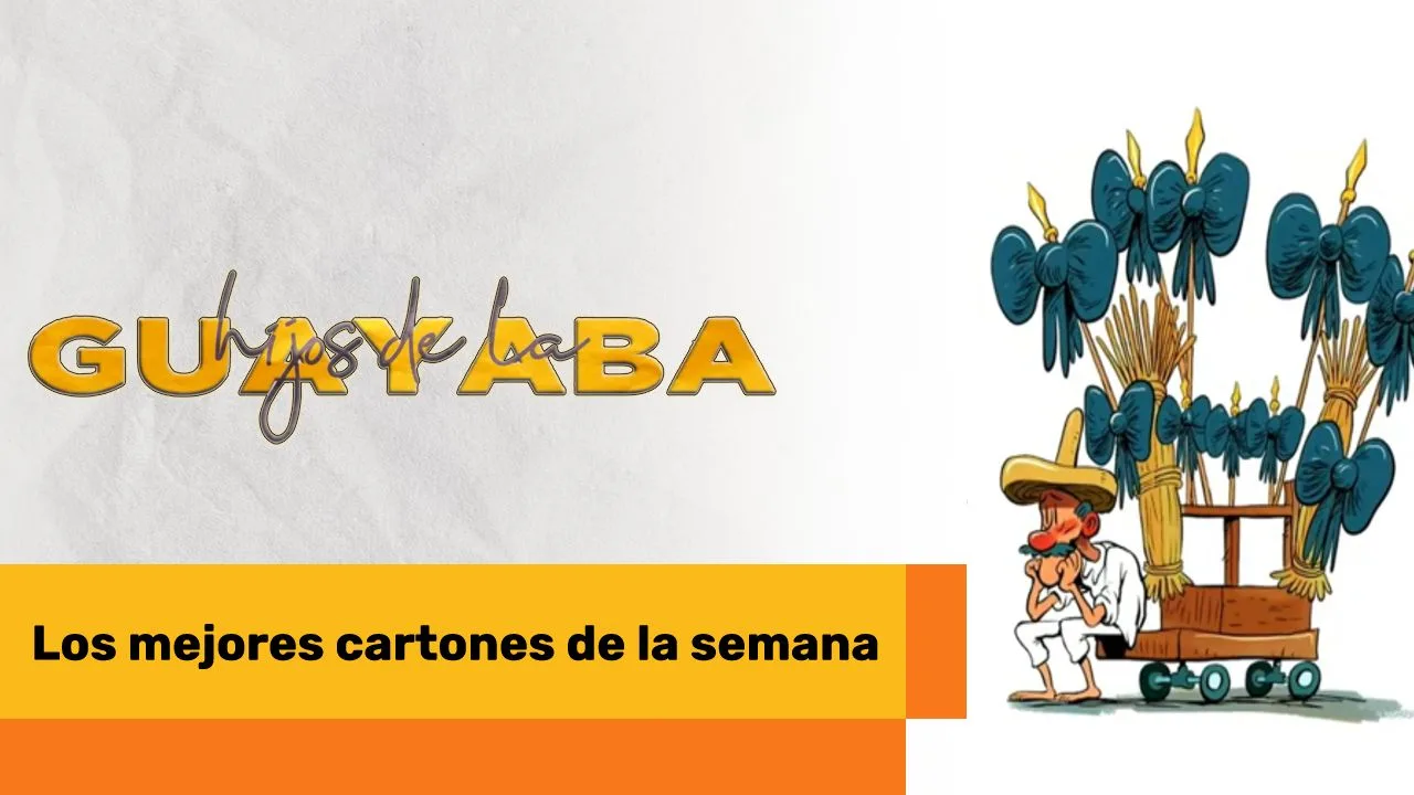 Lee más sobre el artículo Los mejores cartones de septiembre 12 de 2024