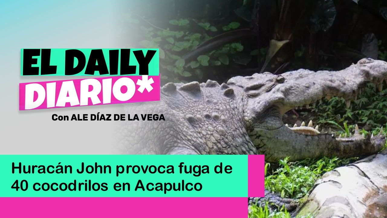 Lee más sobre el artículo Huracán John provoca fuga de 40 cocodrilos en Acapulco