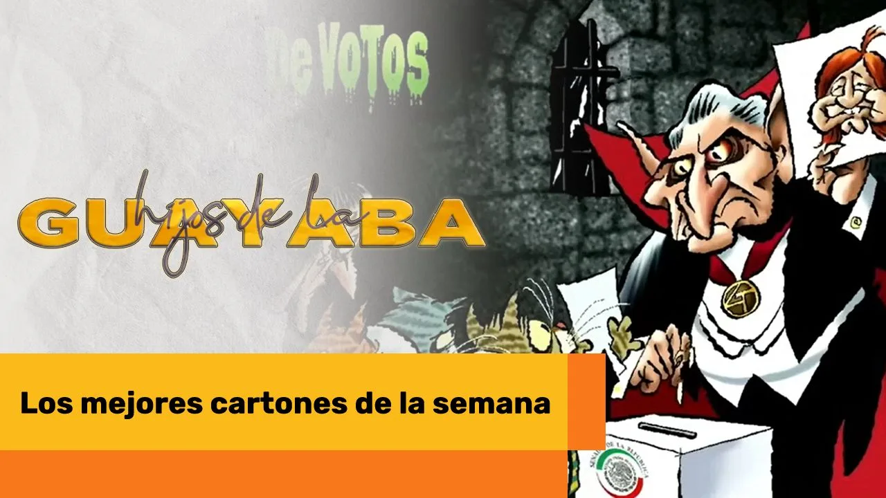 Lee más sobre el artículo Los mejores cartones de noviembre 14 de 2024