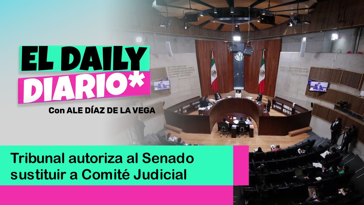 Lee más sobre el artículo Tribunal autoriza al Senado sustituir a Comité Judicial