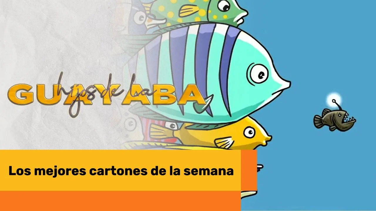 Lee más sobre el artículo Los mejores cartones de febrero 20 de 2025