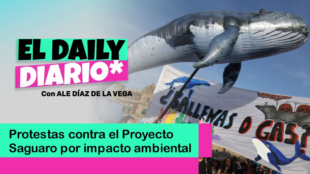 Lee más sobre el artículo Protestas contra el Proyecto Saguaro por impacto ambiental