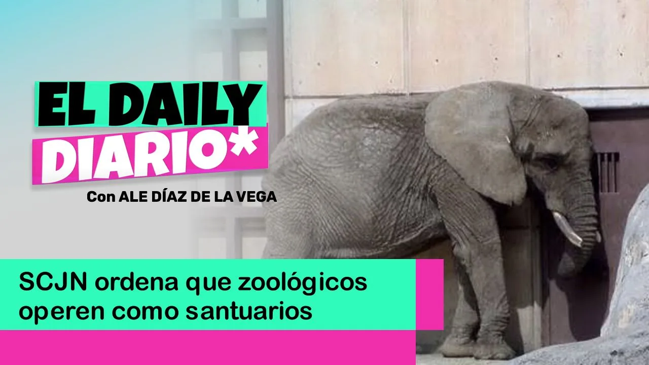 Lee más sobre el artículo SCJN ordena que zoológicos operen como santuarios