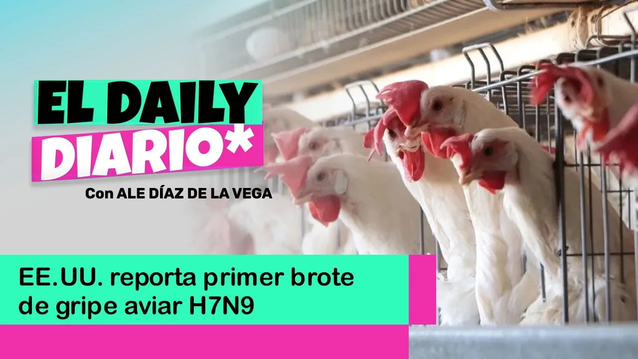 Lee más sobre el artículo EE.UU. reporta primer brote de gripe aviar H7N9