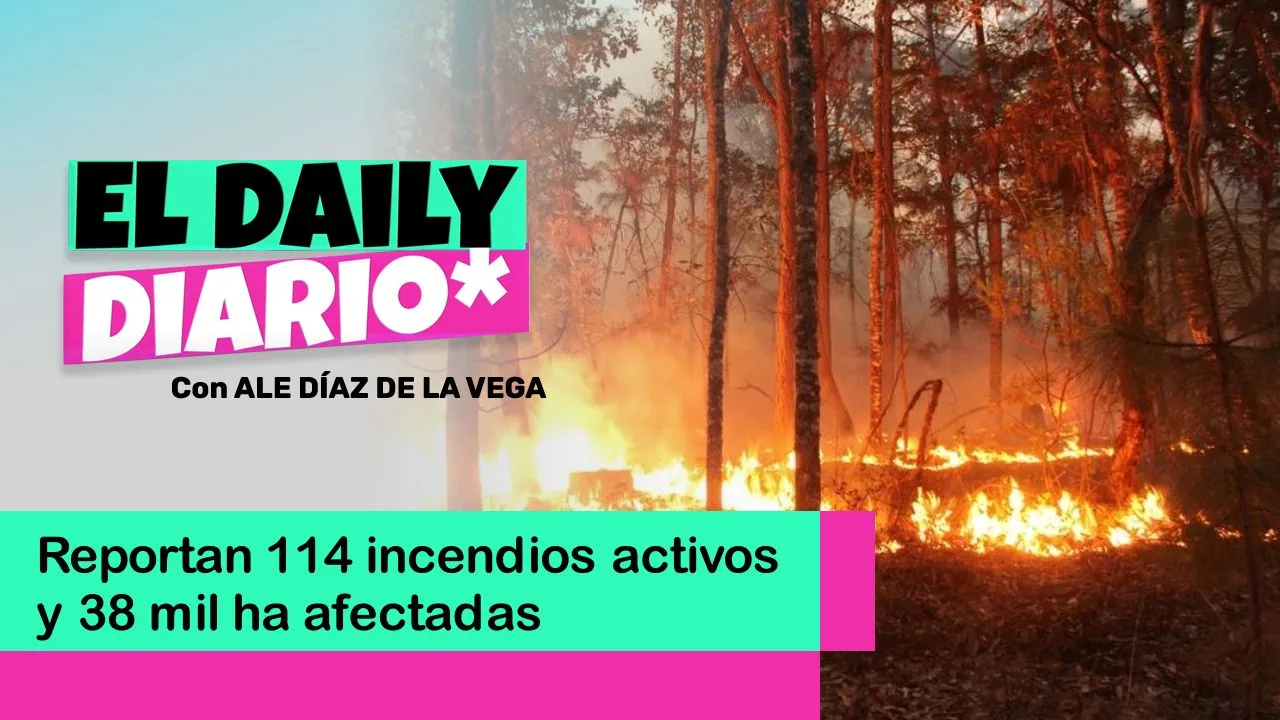 Lee más sobre el artículo Reportan 114 incendios activos y 38 mil ha afectadas