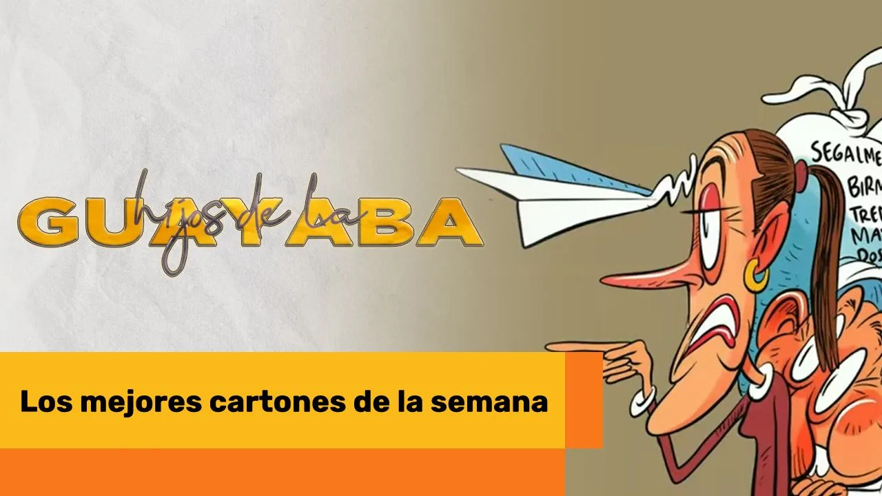Lee más sobre el artículo Los mejores cartones de mayo 8 de 2025