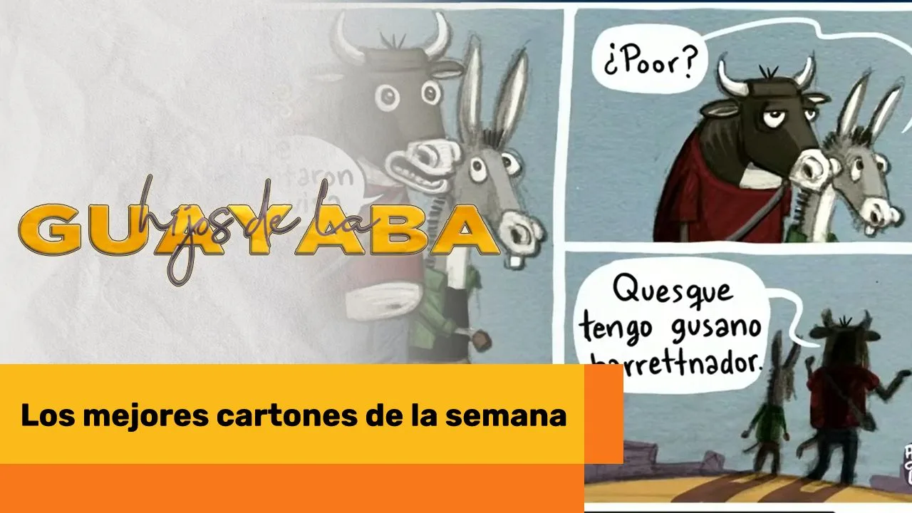 Lee más sobre el artículo Los mejores cartones de mayo 16 de 2025
