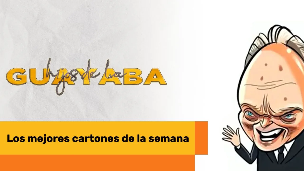 Lee más sobre el artículo Los mejores cartones de mayo 1 de 2025
