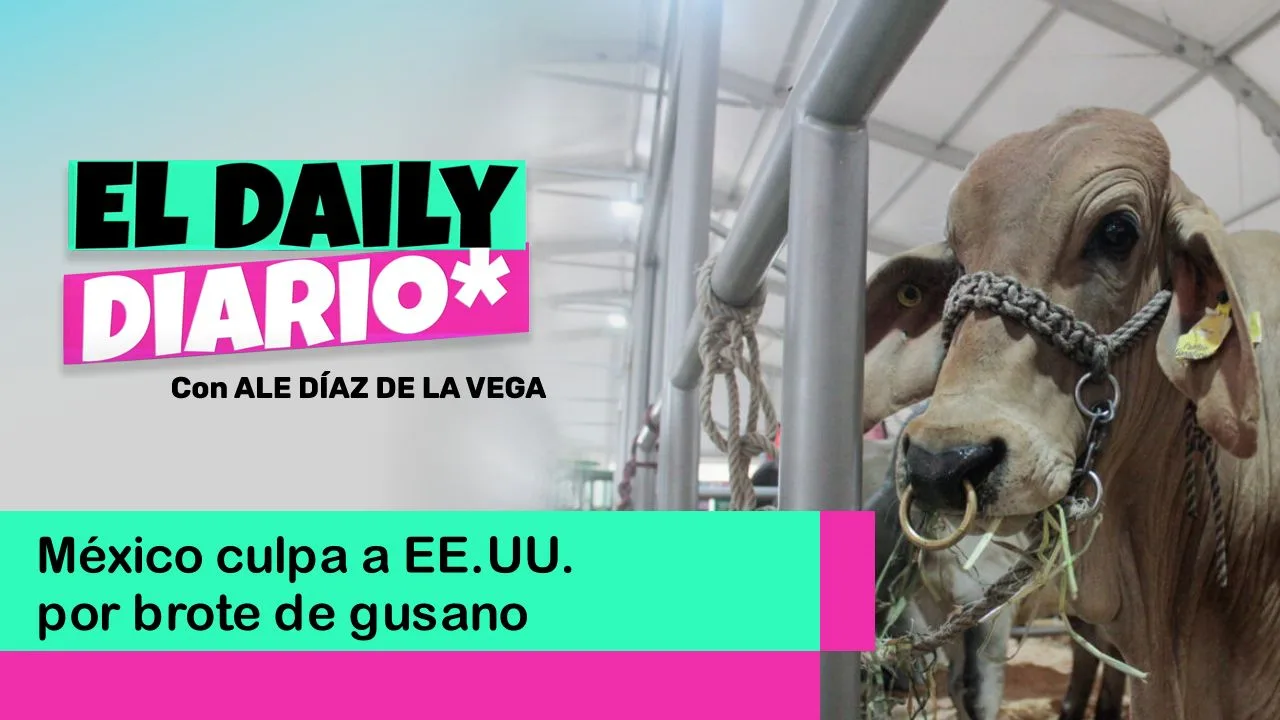 Lee más sobre el artículo México culpa a EE.UU. por brote de gusano