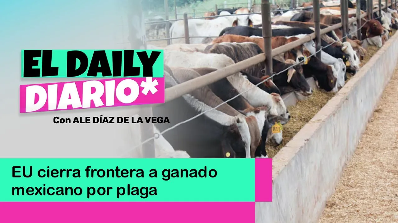 Lee más sobre el artículo EU cierra frontera a ganado mexicano por plaga