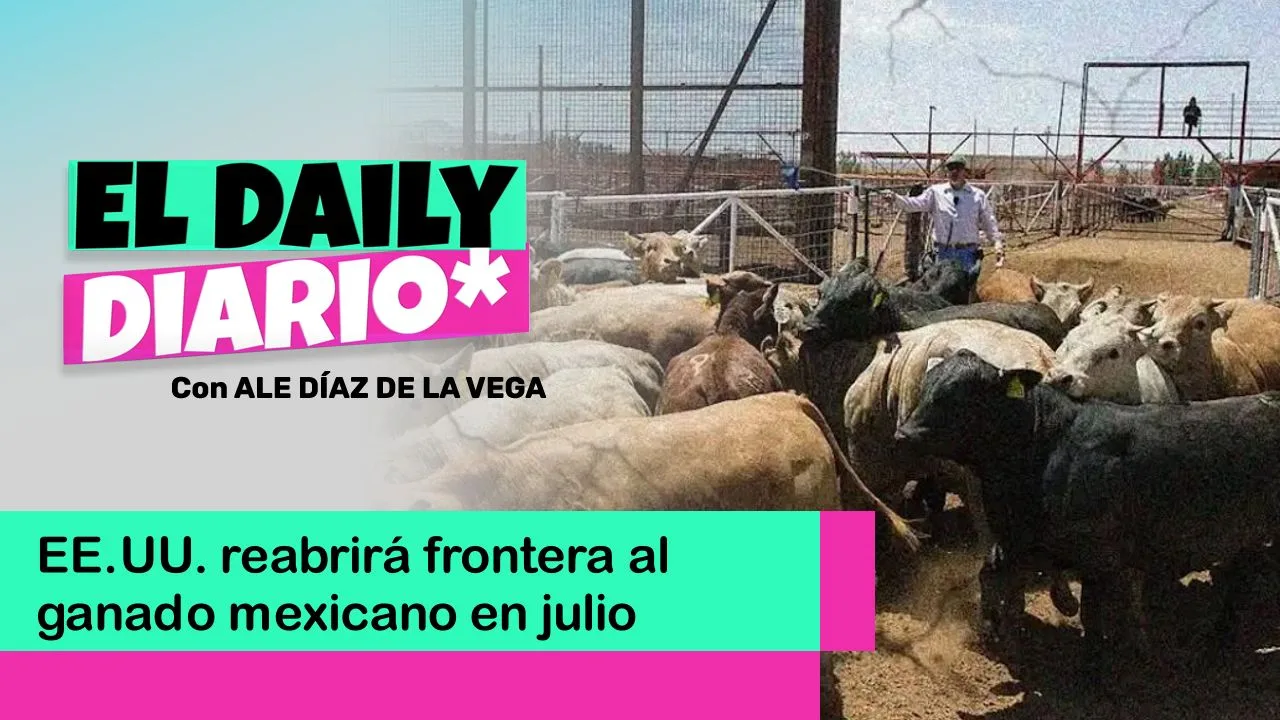 Lee más sobre el artículo EE.UU. reabrirá frontera al ganado mexicano en julio