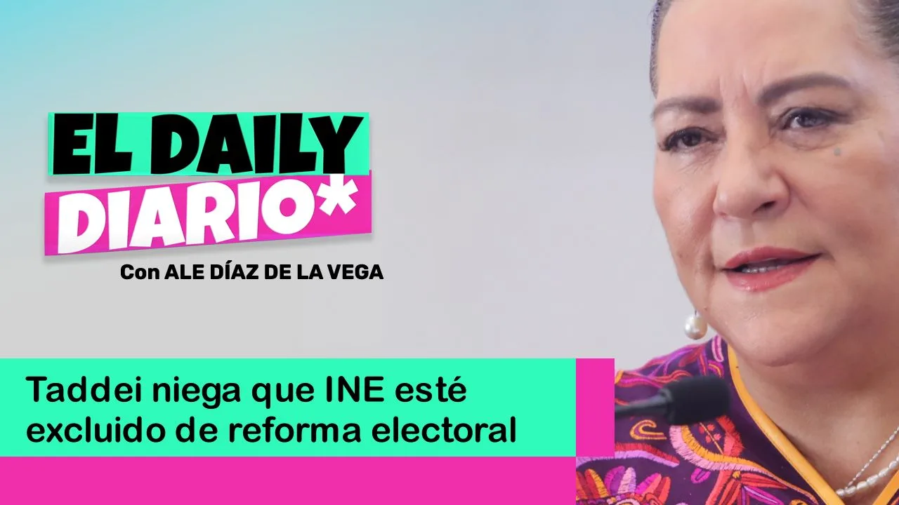 Lee más sobre el artículo Taddei niega que INE esté excluido de reforma electoral