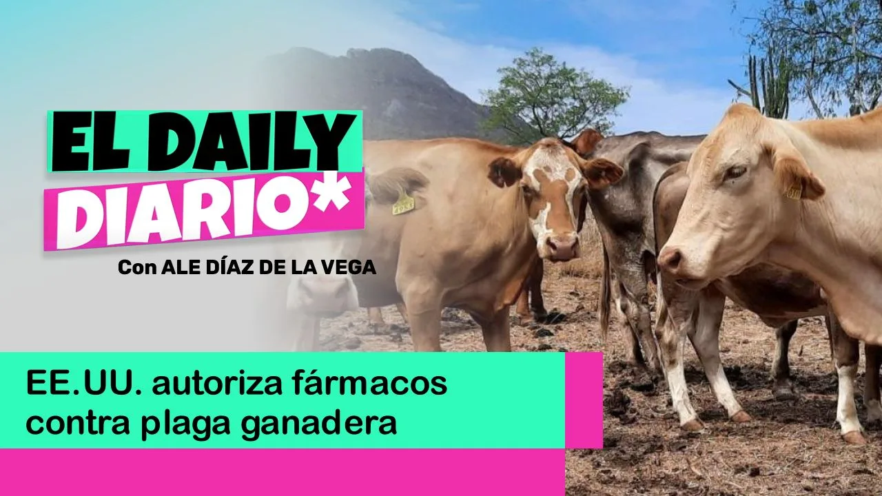Lee más sobre el artículo EE.UU. autoriza fármacos contra plaga ganadera