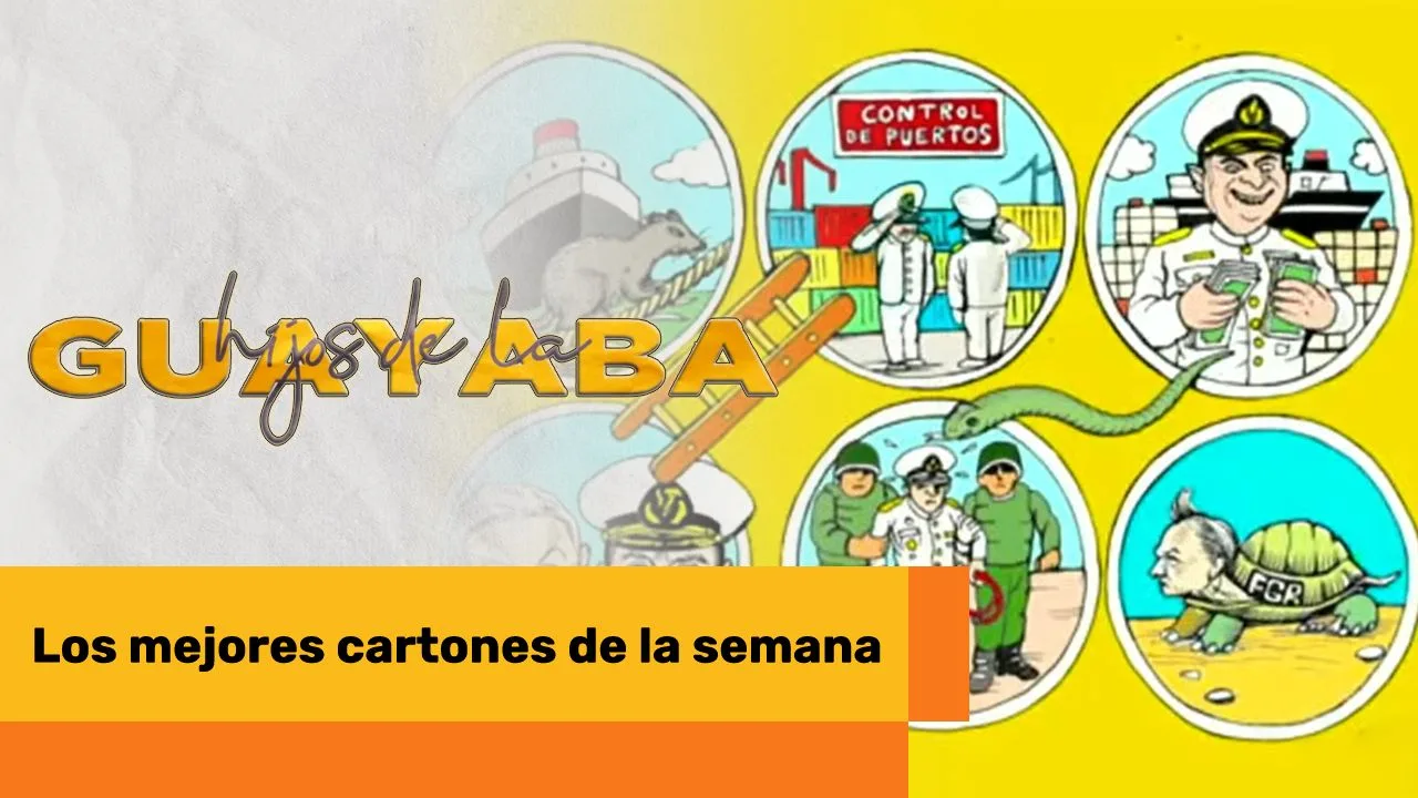 Lee más sobre el artículo Los mejores cartones de Septiembre 11 de 2025