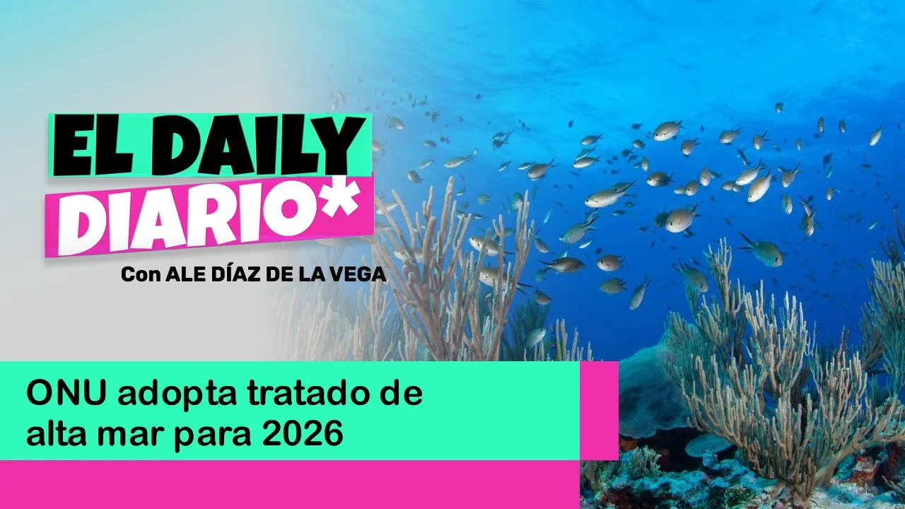 Lee más sobre el artículo ONU adopta tratado de alta mar para 2026