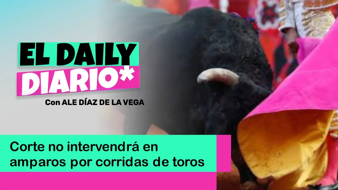 Lee más sobre el artículo Corte no intervendrá en amparos por corridas de toros