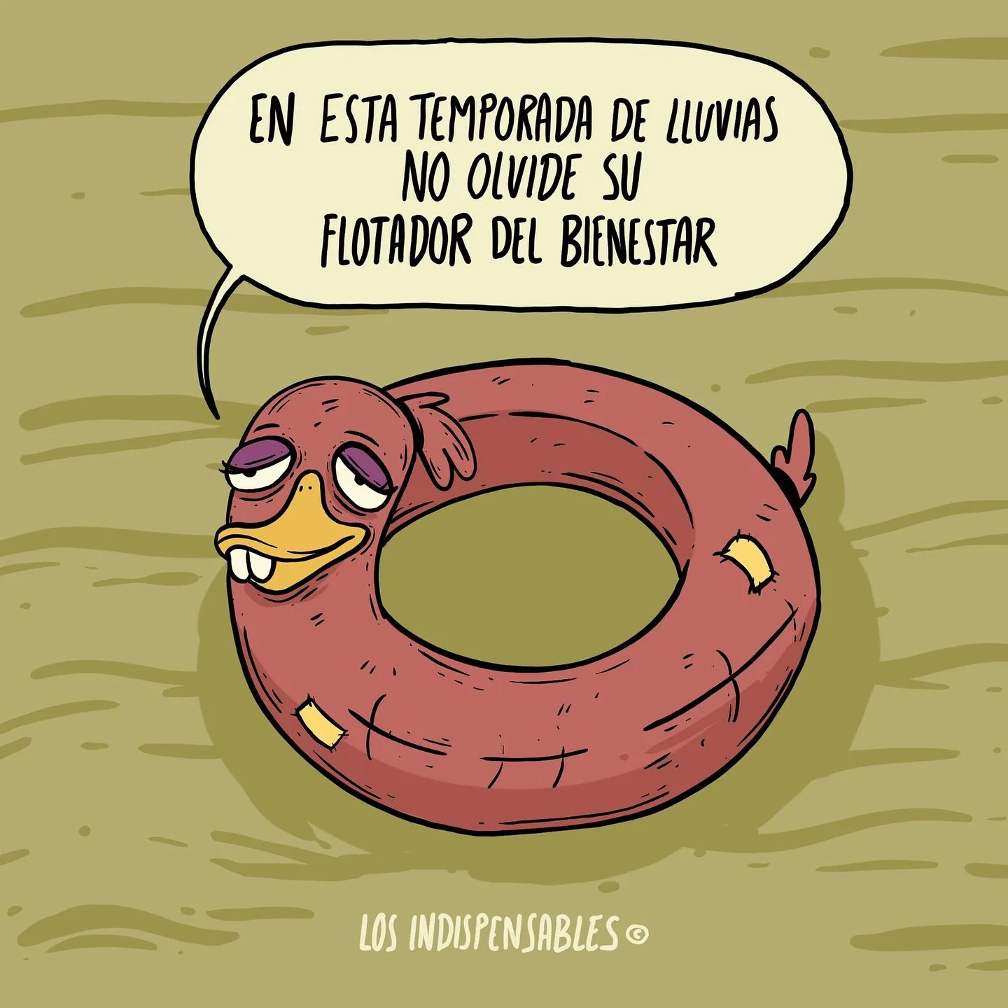 Lee más sobre el artículo Cuando el gobierno desaparece el Fonden pero presume programas sociales…más vale tener a la mano su “flotador del bienestar”. 🦆