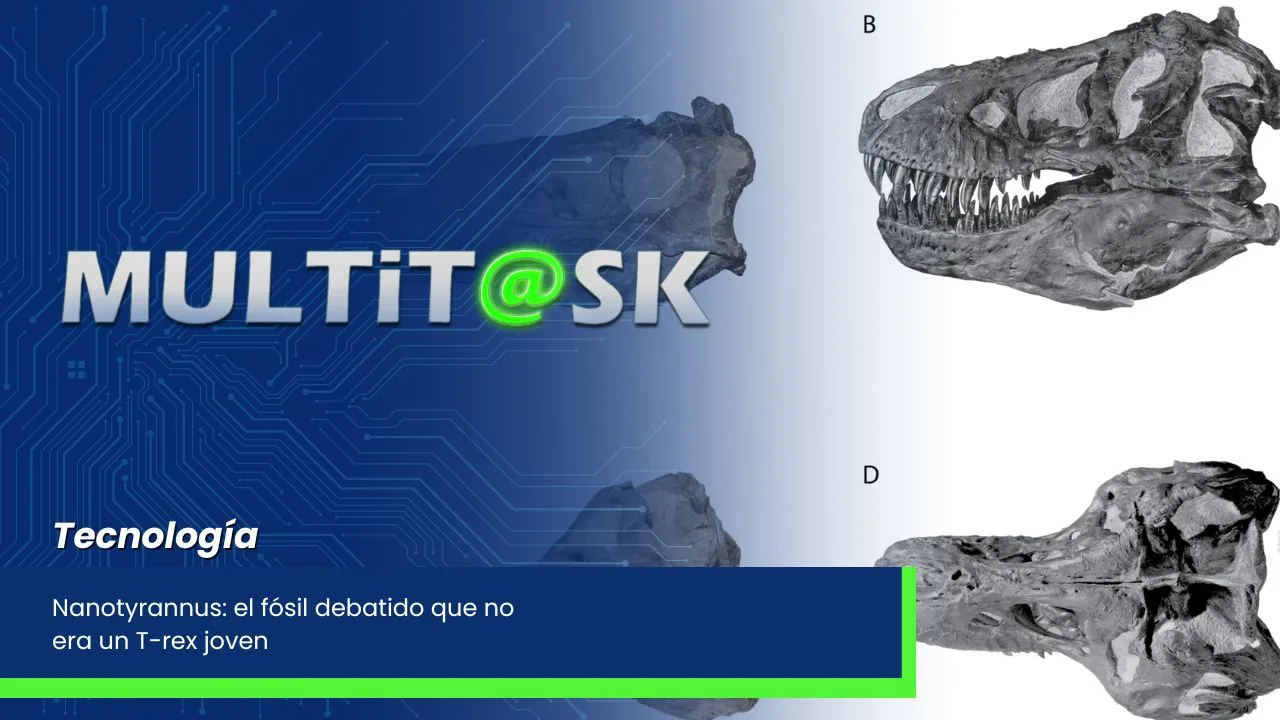 Lee más sobre el artículo Nanotyrannus: el fósil debatido que no era un T-rex joven