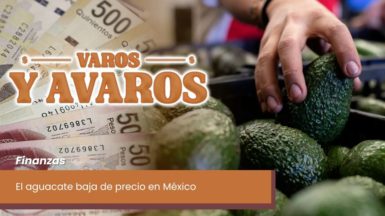 Lee más sobre el artículo El aguacate baja de precio en México
