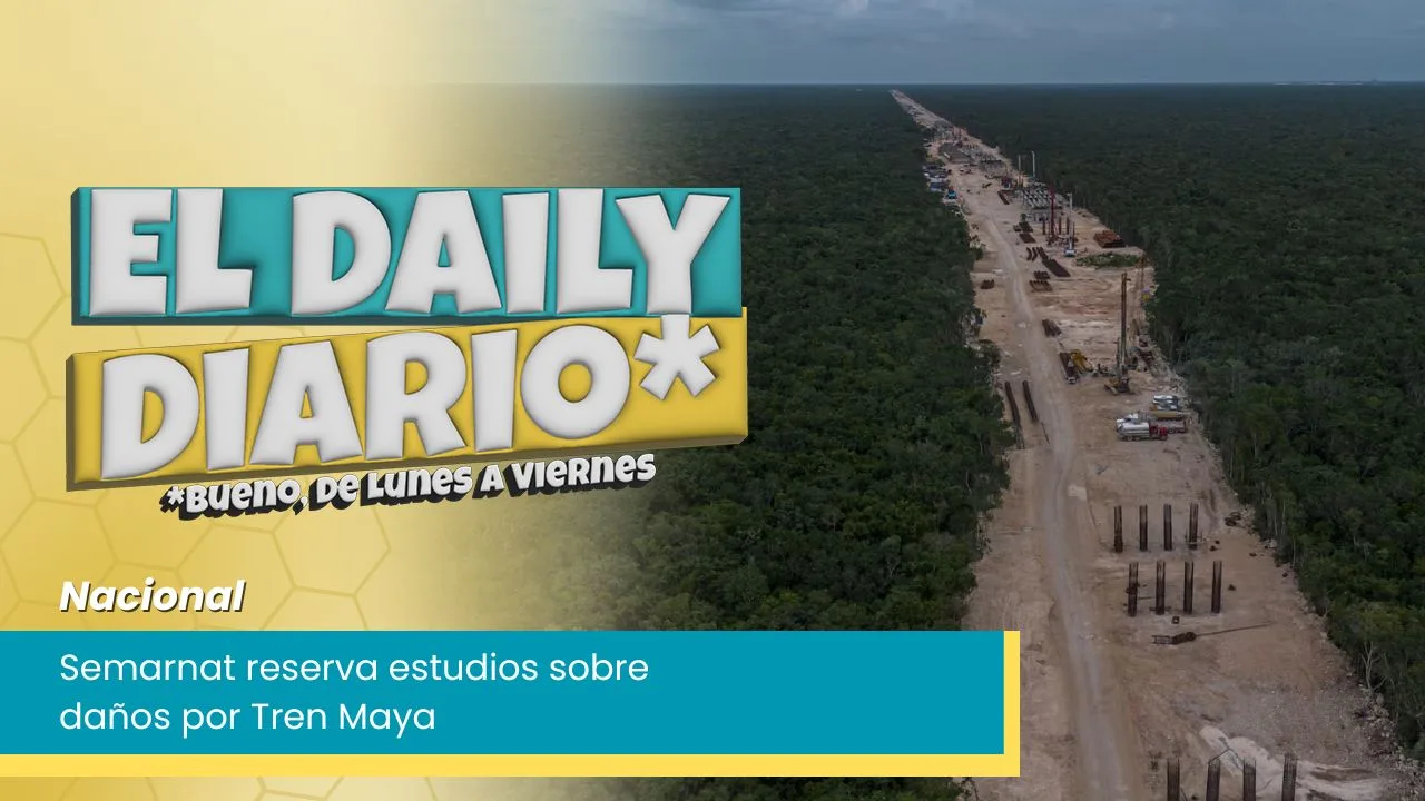 Lee más sobre el artículo Semarnat reserva estudios sobre daños por Tren Maya