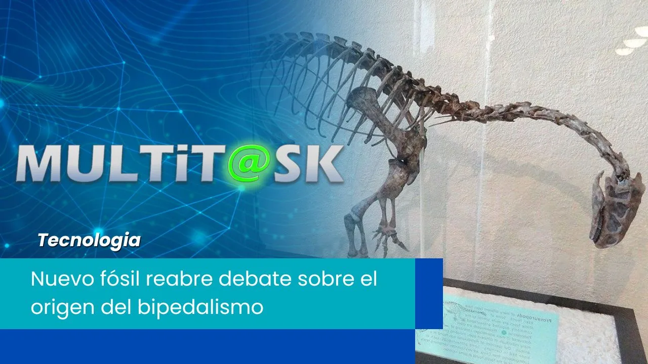 Lee más sobre el artículo Nuevo fósil reabre debate sobre el origen del bipedalismo